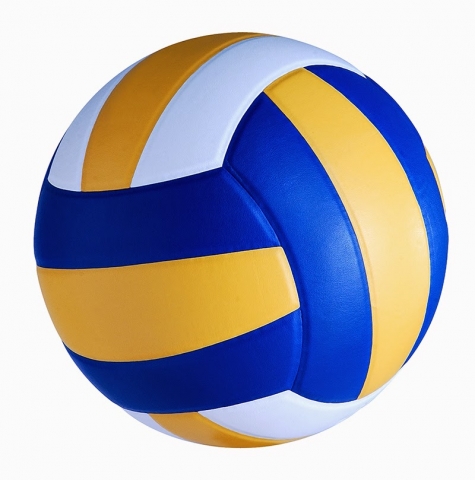 ลูกวอลเลย์บอล VOLLEYBALL AUTO